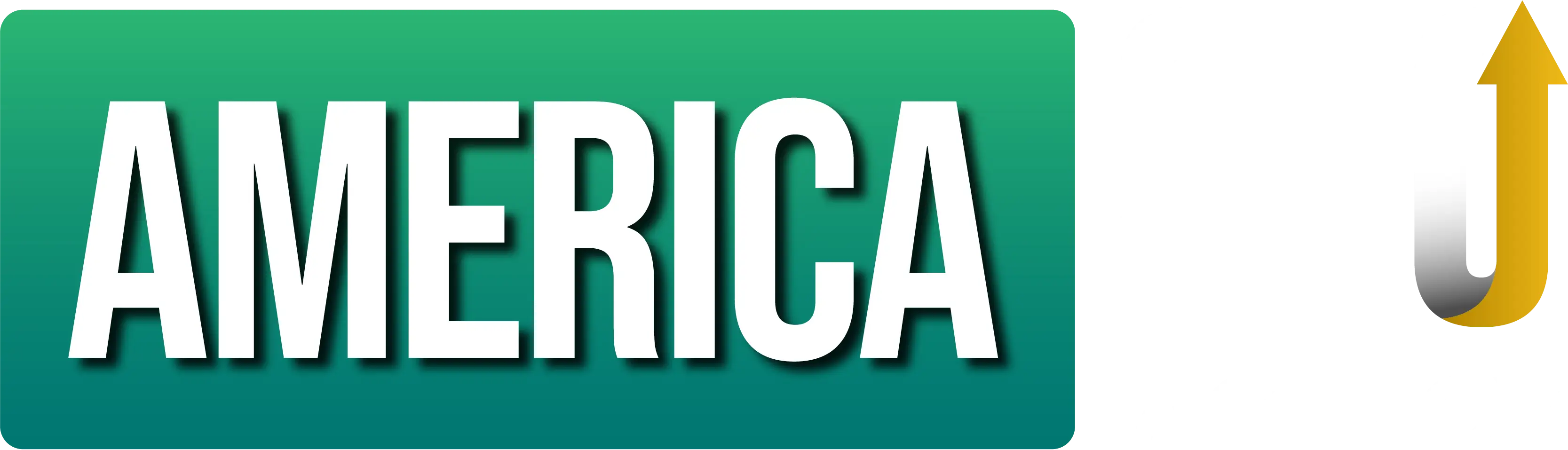 American-SEO-Agency-Final-Logo-02